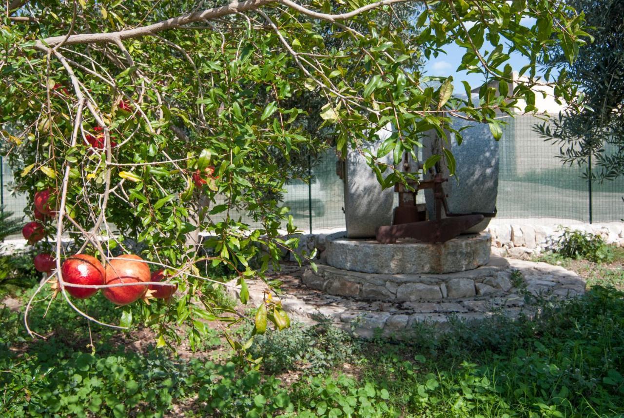 דונאפוגאטה Agriturismo Al Casale מראה חיצוני תמונה